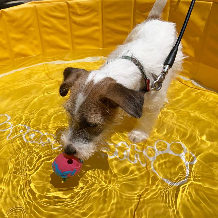 98b5b95d f7e7 4af1 9c99 bbde50a2cfa6 1564896369456