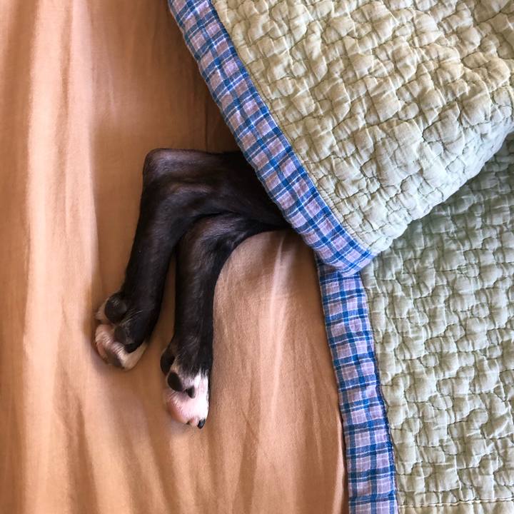 98b5bbb4 ee9e 422c 9b68 4050b172a8bc 1721126775065