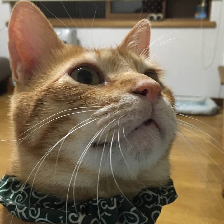 98b5d273 124f 4d03 afa3 47454692eaef 1537531068056