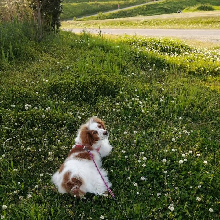 98b5f67b e962 4998 8a48 c4cd82455006 1588150485780