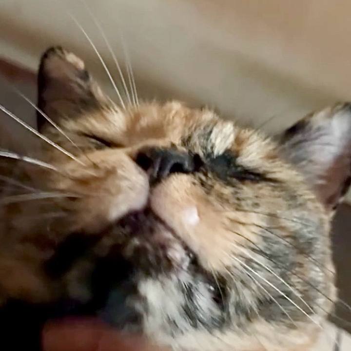 98b5f817 48d0 48a2 a317 faffabeec5b1 1753013280898