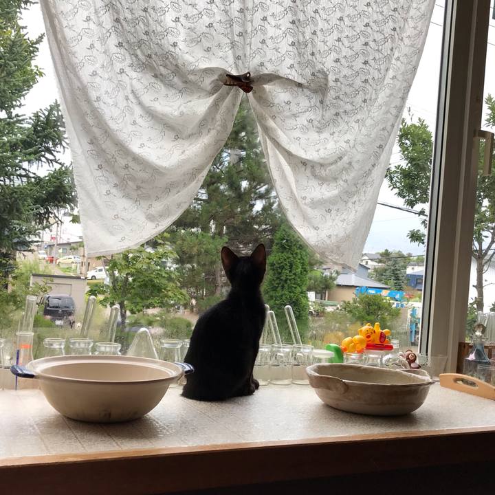 98b5faee 96b6 404c a97d c1f90ad1b379 1566248954657