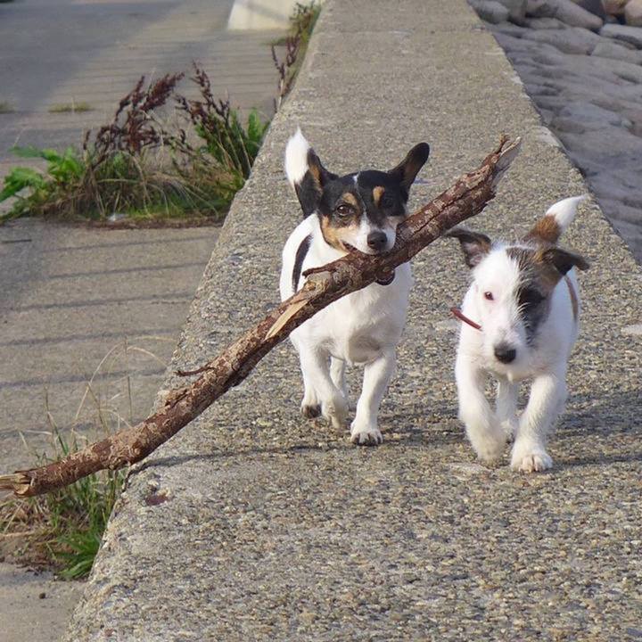 98b60aec 1b74 498e 9c05 e8cc927d109d 1728019312261