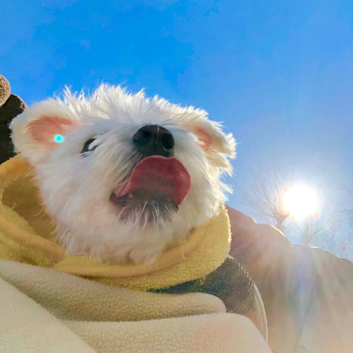 98b63c54 06ce 4744 b079 39d912d1f369 1547173646133