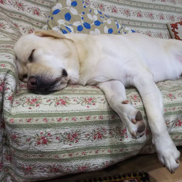 98b65ab0 9d4c 44d4 8e8f 0f3c4a1fb467 1536407362925