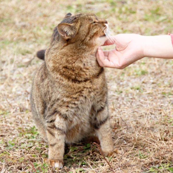 98b69523 dc17 4a75 a55c c86c7ff3eb6d 1511872091427