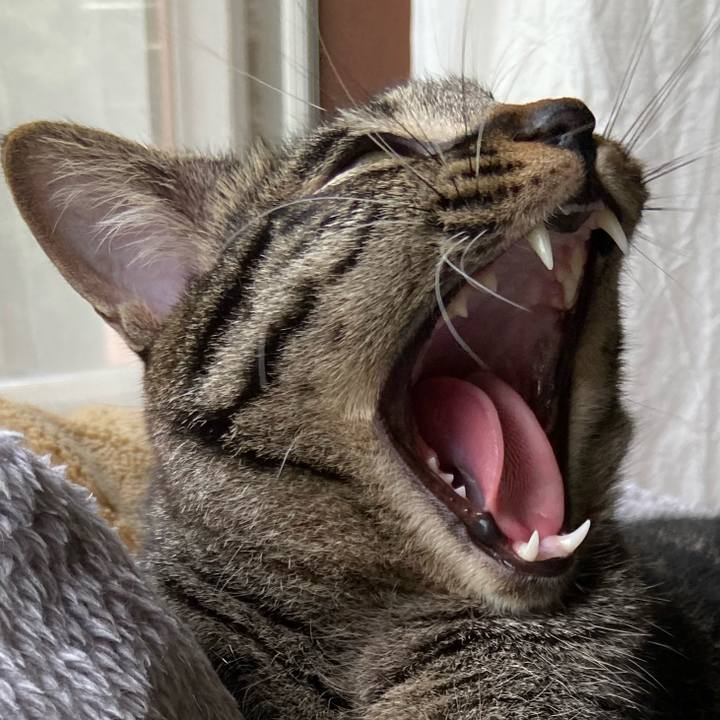 98b6ba70 7e7a 4df7 84df 4c17b7c81539 1654427836081