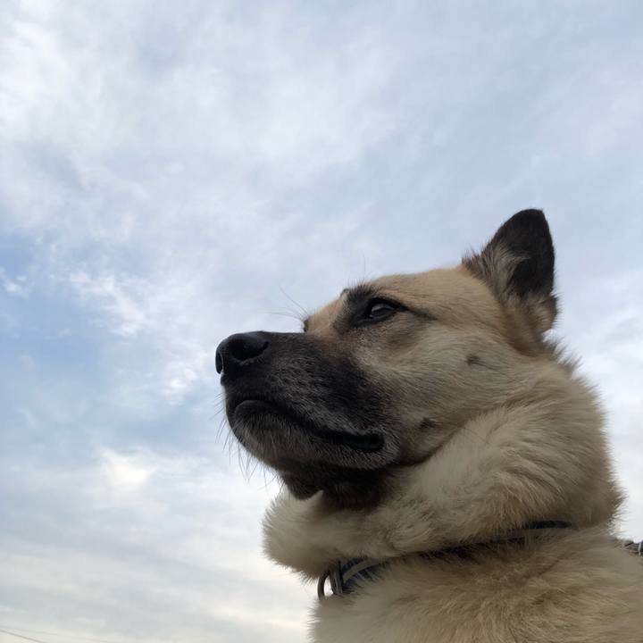 98b6f060 3af2 4ba1 b6f2 9ebc004a47b1 1622634505929