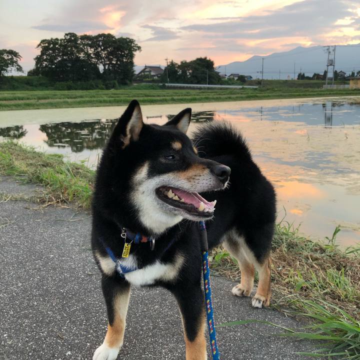 98b70ced 4bc9 40d1 be87 29262a9588a8 1566776989795