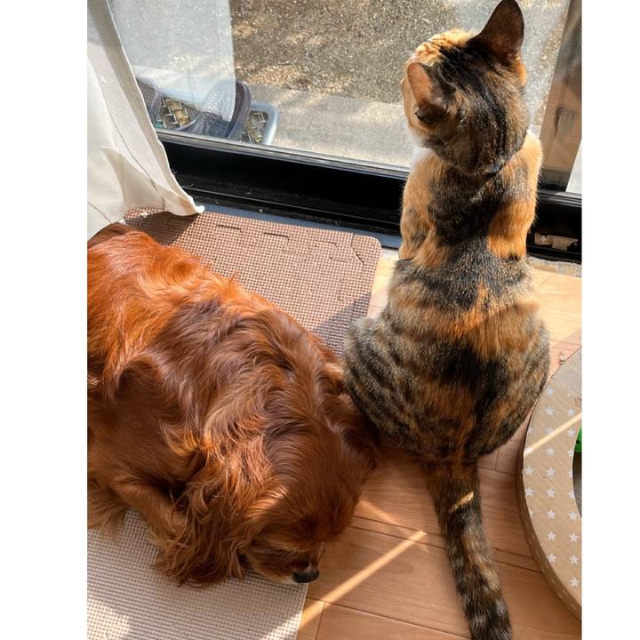 98b712dc 116a 463c 87ea 1c36380a0fd2 1673236199238