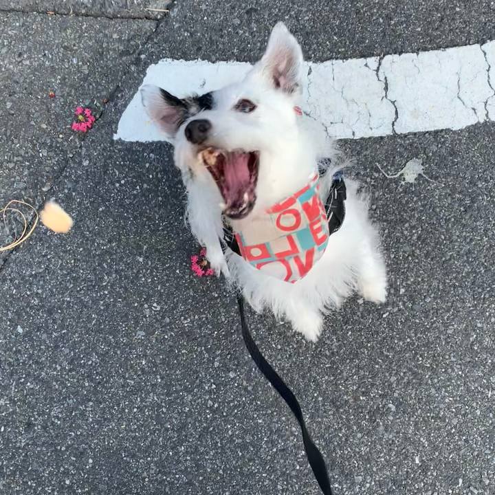 98b713f3 2f48 41b0 a7a7 0dc805c83d36 1754175551183