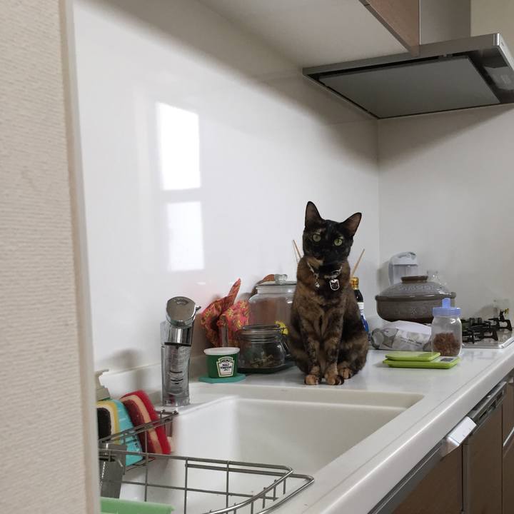 98b7262a 7ef7 4c88 8363 d1f731346a71 1537575534774