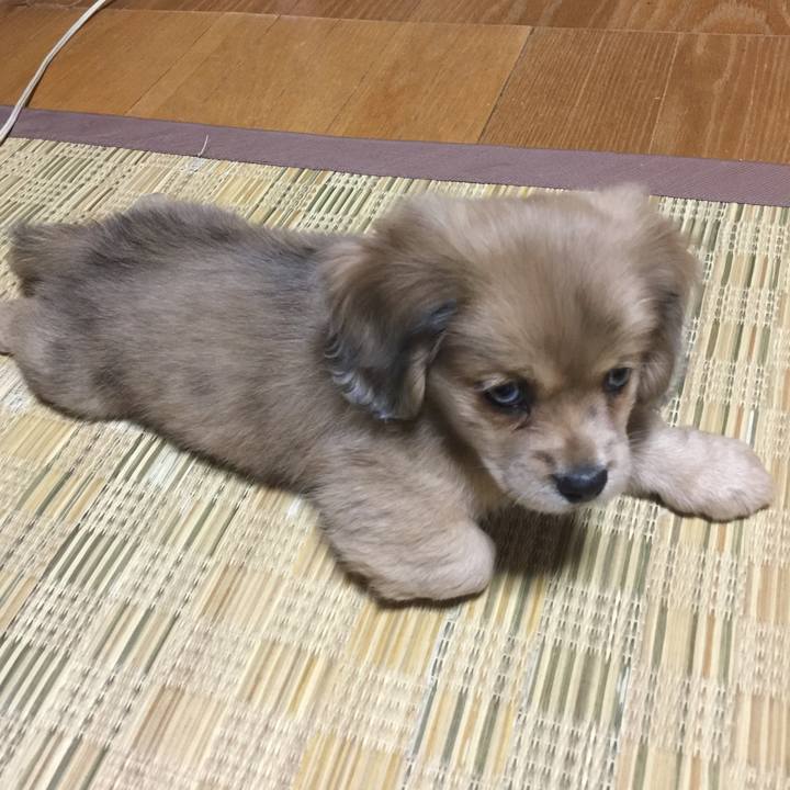 98b7324f e655 47f1 8178 b74dc65b2b00 1563139881021