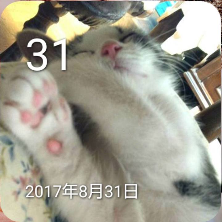 98b732ee 0407 4c6b af53 d30385f83be3 1788156925402