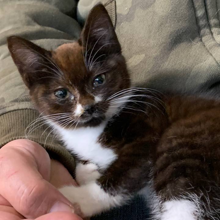 98b73d3d 1408 4964 b594 609530b1e4ab 1577685946298