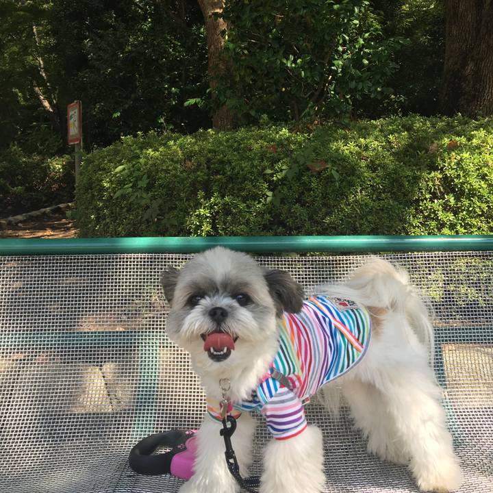 98b7493e 93be 47a0 a484 03be20daeda4 1537326119986