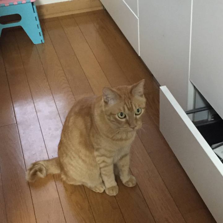 98b749be 884b 47b9 a661 7b866897463b 1595715181224