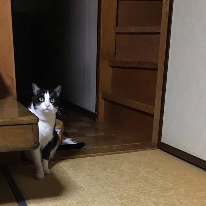 98b7b514 c198 4019 b40b 3f2b887d5804 1692270195460