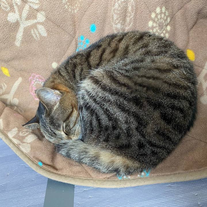 98b7b5d3 2ef2 4a5d bbb6 5d1e347d3dd4 1646096717434