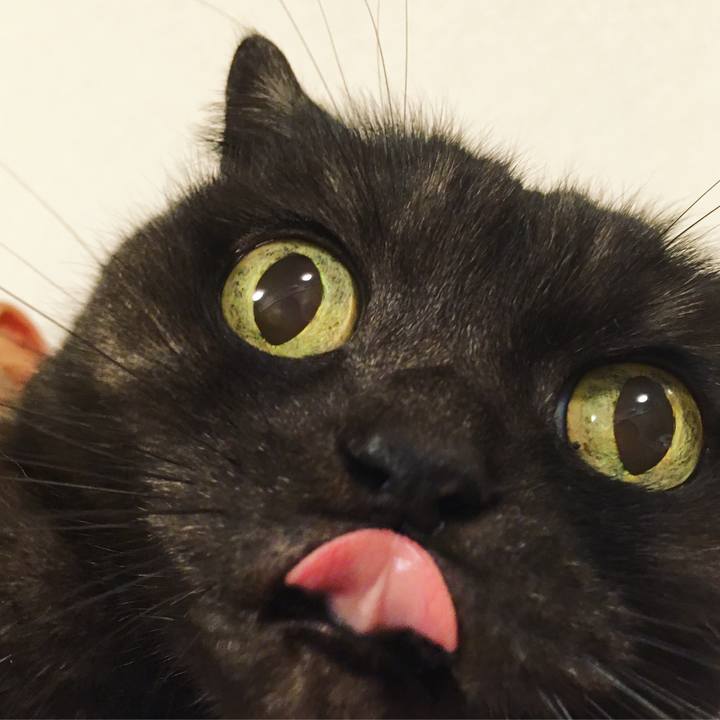 98b81d84 2071 4bb4 b974 055aad30ffbd 1580230637879