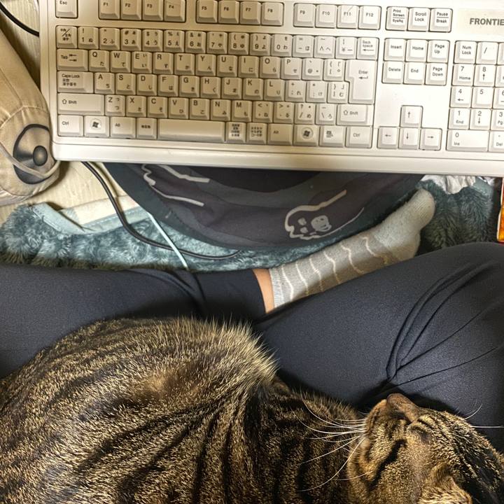 98b81f6c c232 4506 ab58 e3d728e60b14 1575246398905