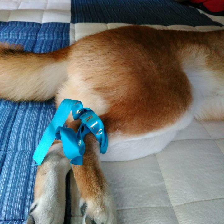 98b824d3 89d7 44e4 8a68 3517aa22f7f3 1560914961114