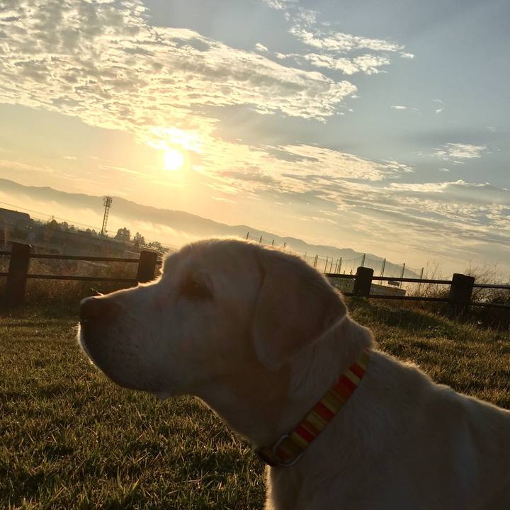 98b82753 ba5c 4a21 821b b8dc9163e68e 1559063778172