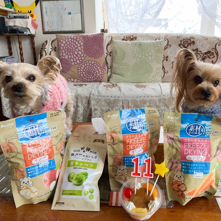 98b8628b 5060 4ee9 b1e6 3166aebd35df 1544516521444