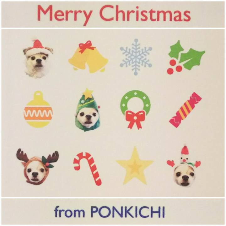 98b866b9 4bcd 4b62 a214 95cdd9272584 1608812158078