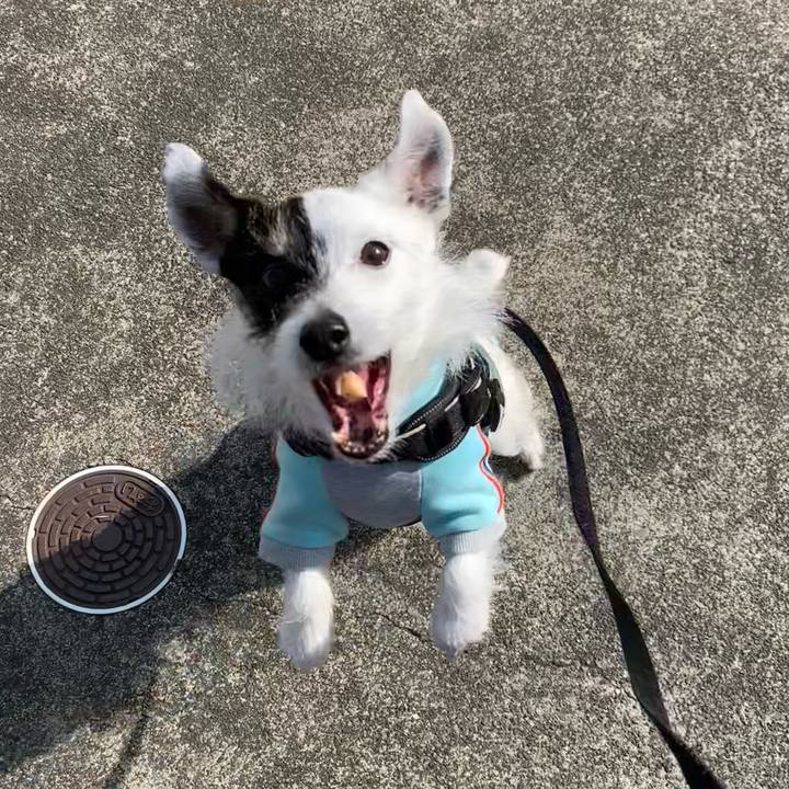 98b8683d 44c5 453f af7b e4eca2bf65c3 1742947001622