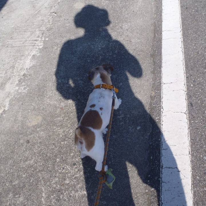 98b88d7f 79bd 40dd b029 807a5072c0cd 1568156892423