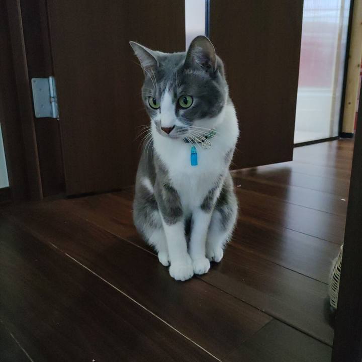 98b8e122 1224 4948 877d 4fa9c4441fc1 1697767612644