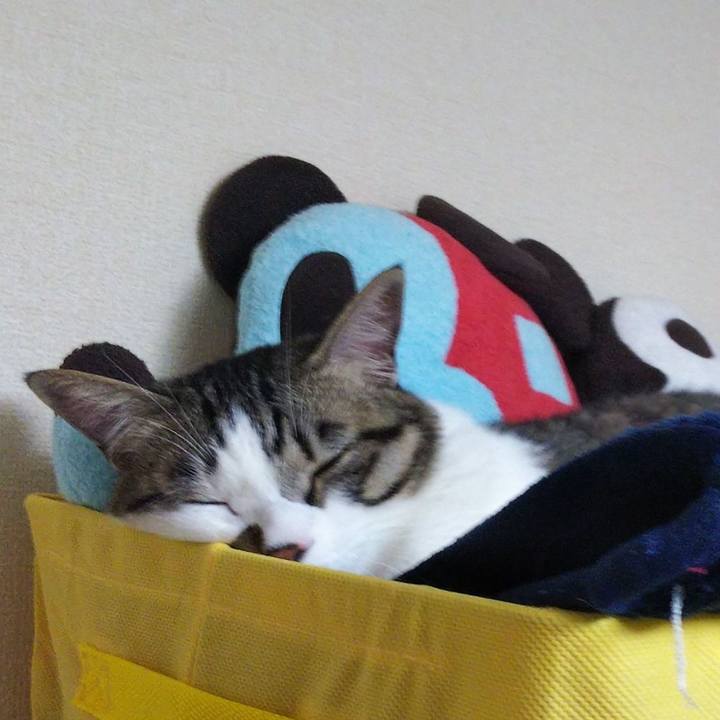 98b90a24 ed70 44ac b5e5 d50f5b7dc181 1646356835343