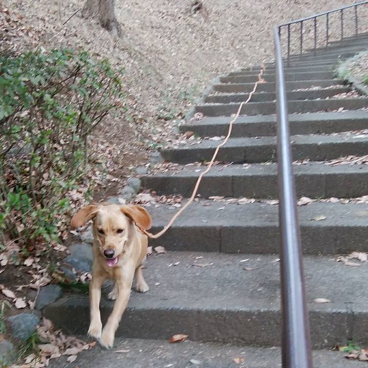 98b91fbb 2ab3 4a7e 88d9 b9e18c2ee2f2 1519252590296