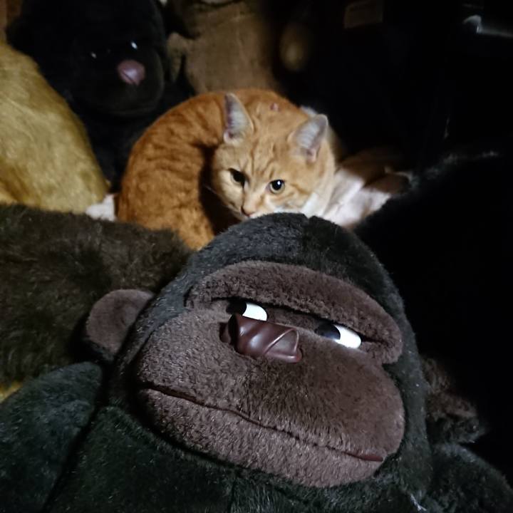 98b92bb2 eb87 4b51 a62c 9d3d8d6ddbdc 1607164076421