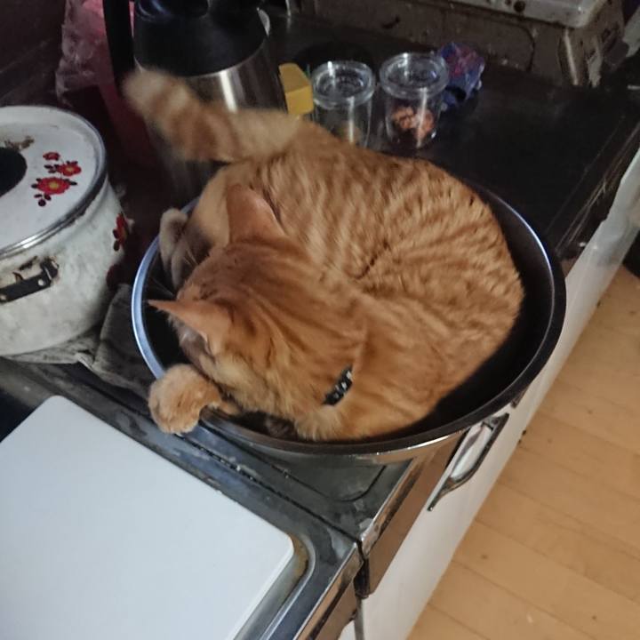 98b94333 6f83 44a9 bd40 17433acf2da2 1638232421779