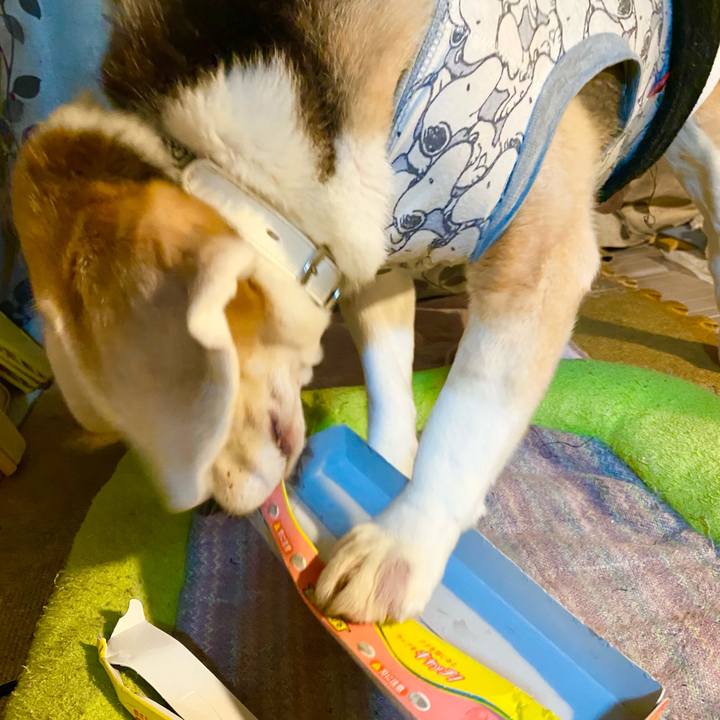 98b946dc edc1 4d37 b673 5bc44397e4ce 1606053549953