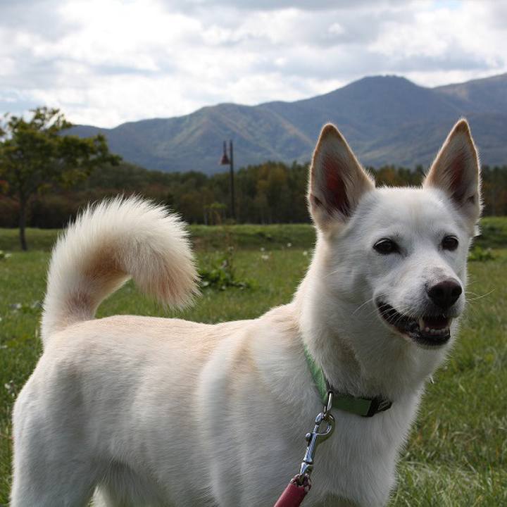 98b94b33 f500 4768 8f92 d378524ce90d 1509974990131