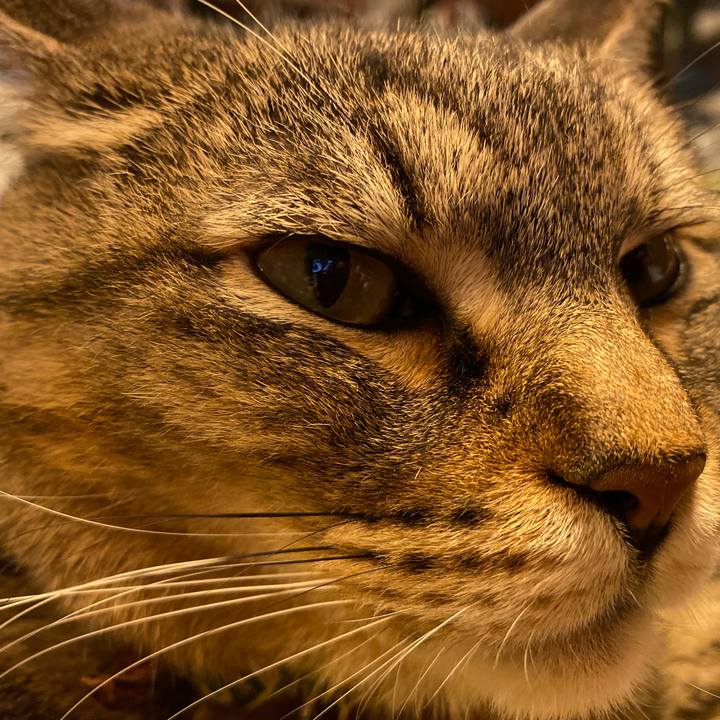 98b9592c ac3f 4809 8477 0b6c699c4431 1573903242445