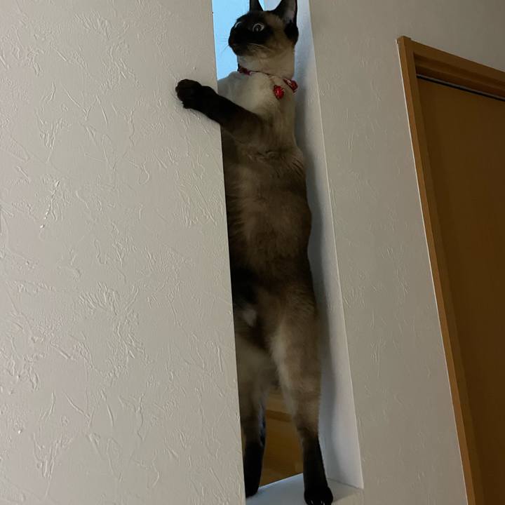 98b95cc6 ebab 44d2 bb73 b10e8eba7438 1741814864245