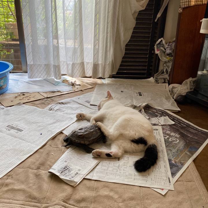 98b95f18 1988 4026 bdae 01a90726d1fa 1753252825767