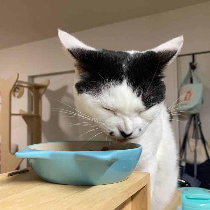 98b969aa ead9 4d62 ac93 f87025c339ba 1761425062463