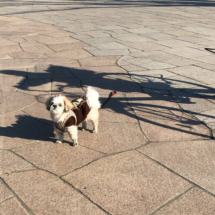 98b973f7 d886 482f a593 a6df83a06aee 1548970901463