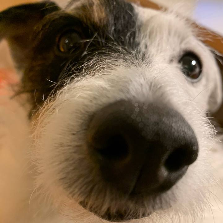 98b9be3b fcfd 43e8 85c6 e3105d5cf967 1613044389390