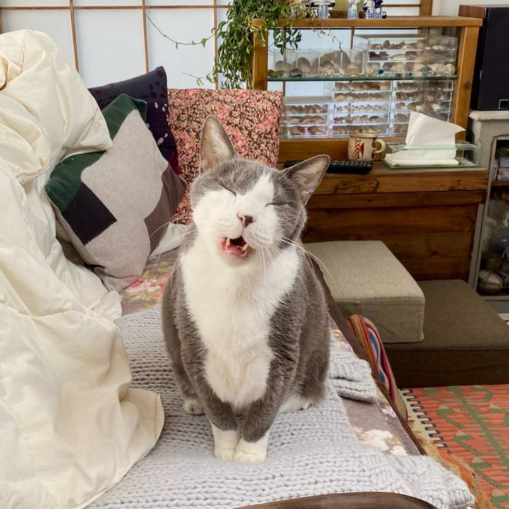 98b9c4dd fe26 4c1a 9cef 587454c361ed 1767154035716