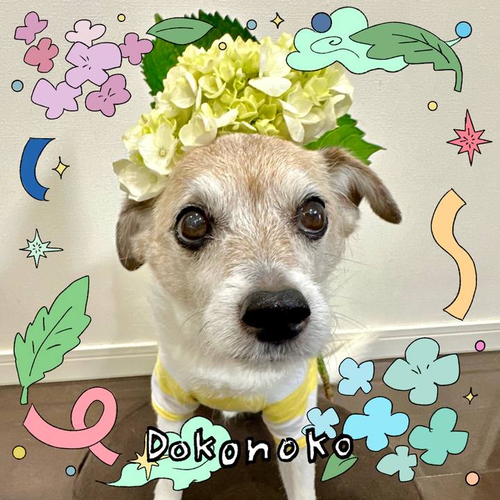 98b9fdbc f78f 4878 b5f6 4ea8a4d27509 1717630208446