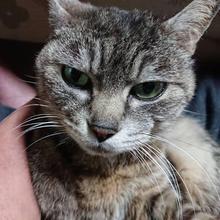 98ba42d0 9bb1 4898 a93d 0daed4e17685 1557401090590