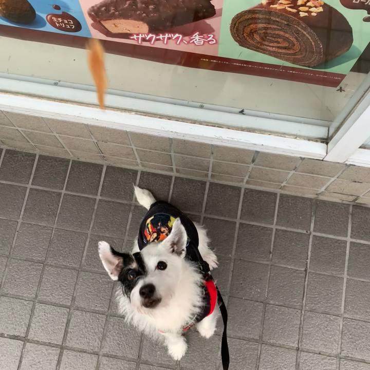 98ba9cfe 9d82 400c 8d1e 19919f1819dc 1730274680087