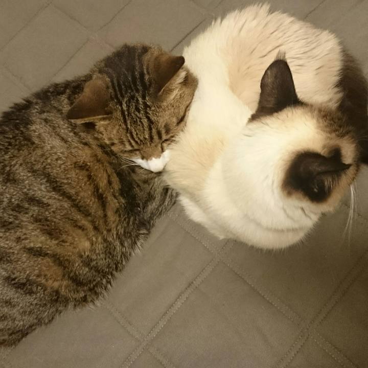 98baa1f7 56fc 493e 97a6 45bc8af6ca07 1512992029891