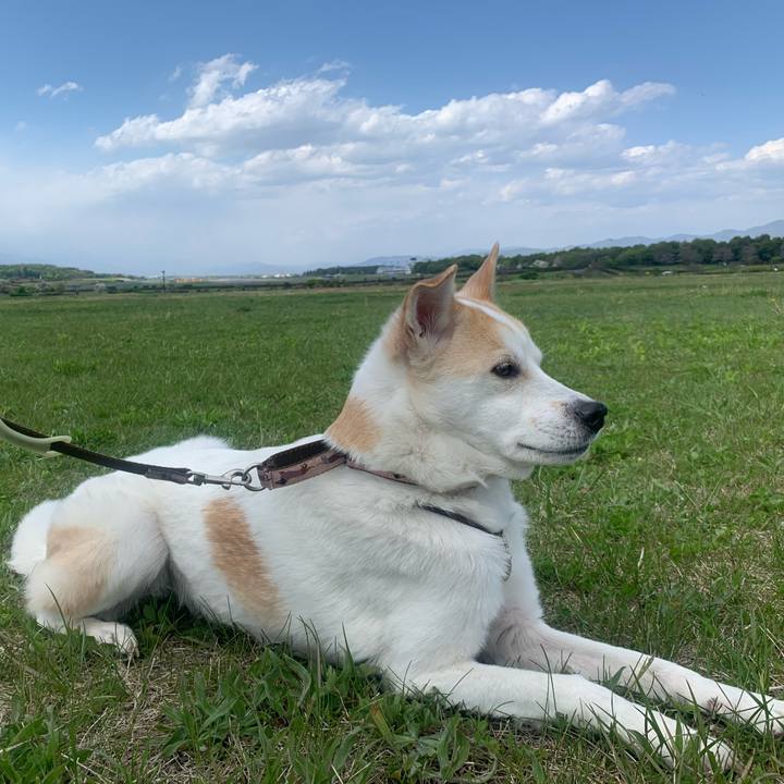 98bace2f d3df 417c b392 7ddf105ea69b 1683196578440